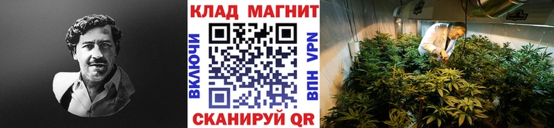 Цена Чайковский Марихуана  Alpha PVP  Гашиш  COCAIN 
