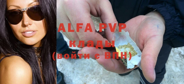 хмурый Аркадак