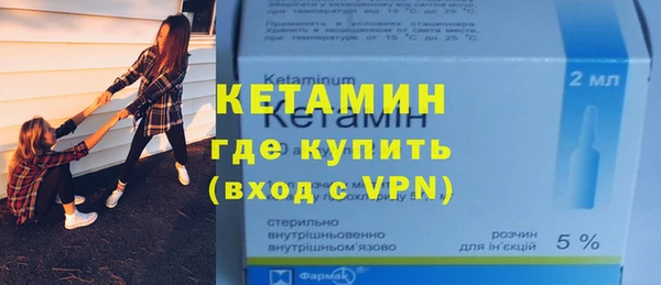 хмурый Аркадак