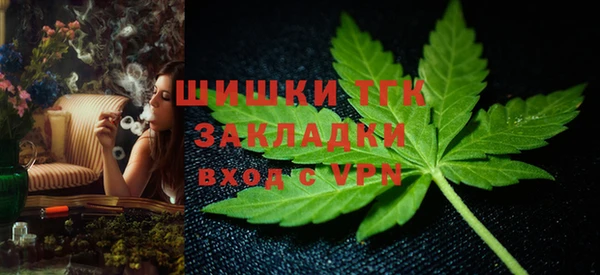 хмурый Аркадак