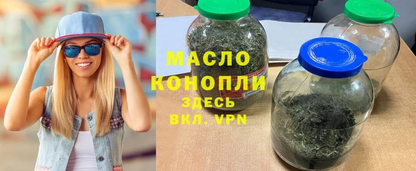 хмурый Аркадак