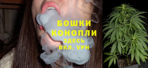 мет Арсеньев