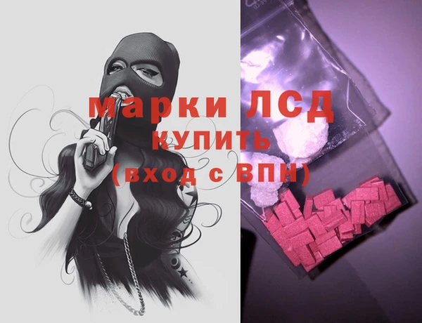 хмурый Аркадак