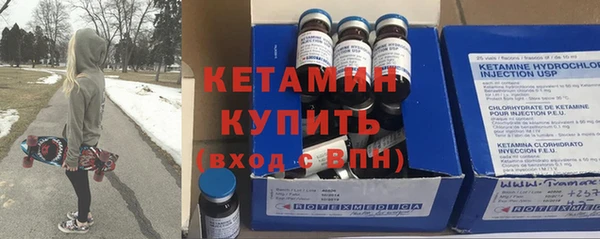 хмурый Аркадак