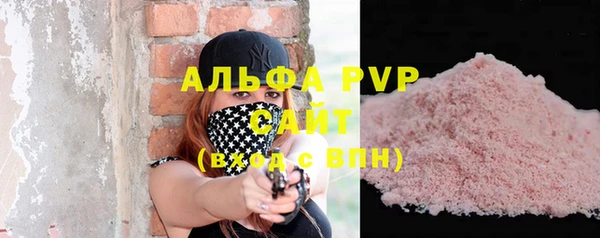 хмурый Аркадак