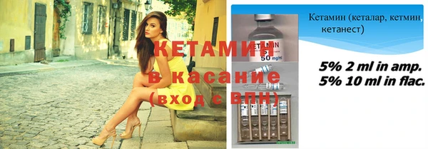 хмурый Аркадак